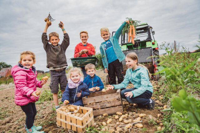 Eggelmann-Gemuese-Ernte-mit-Kindern