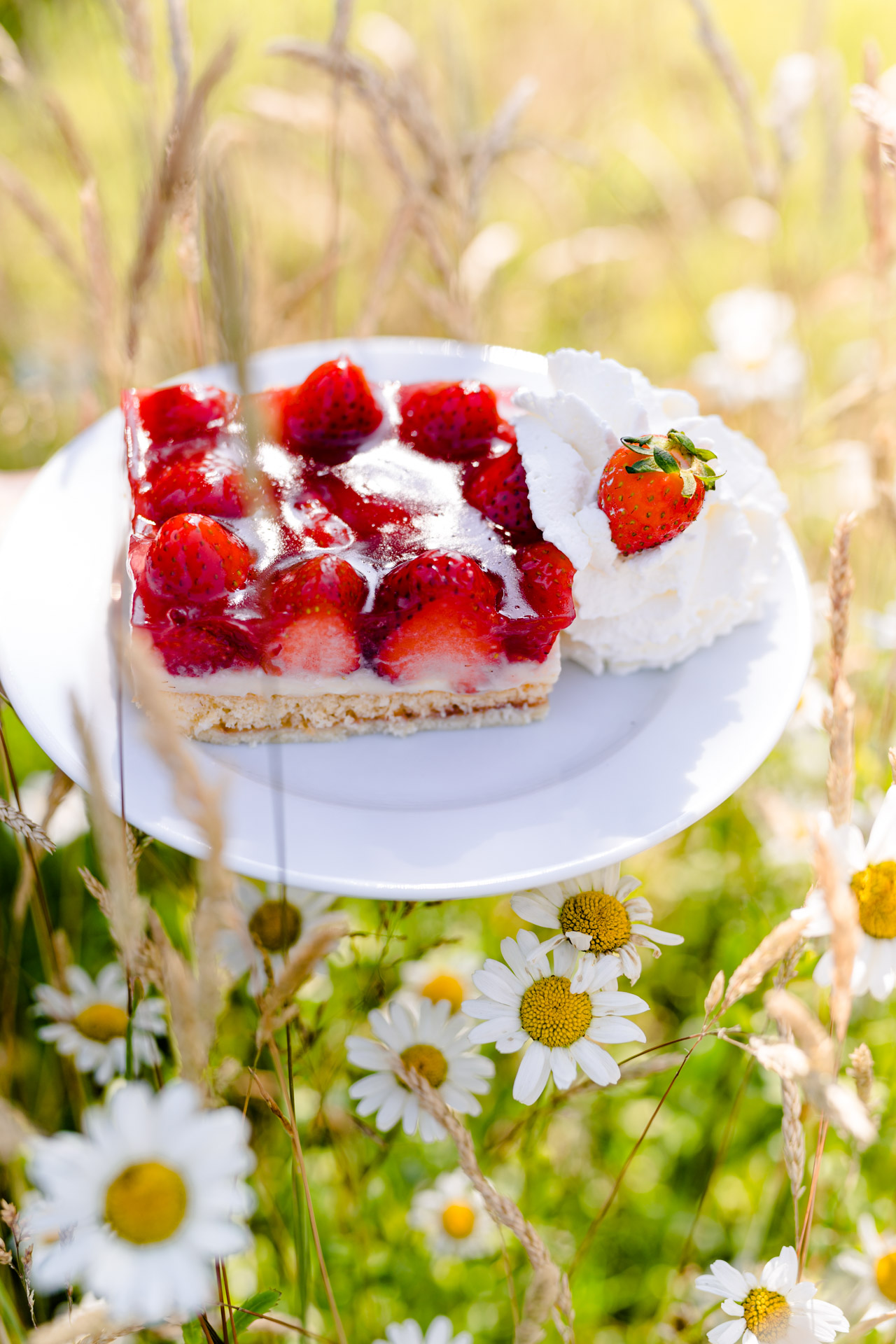 Erdbeerkuchen Erdbeerkuchen