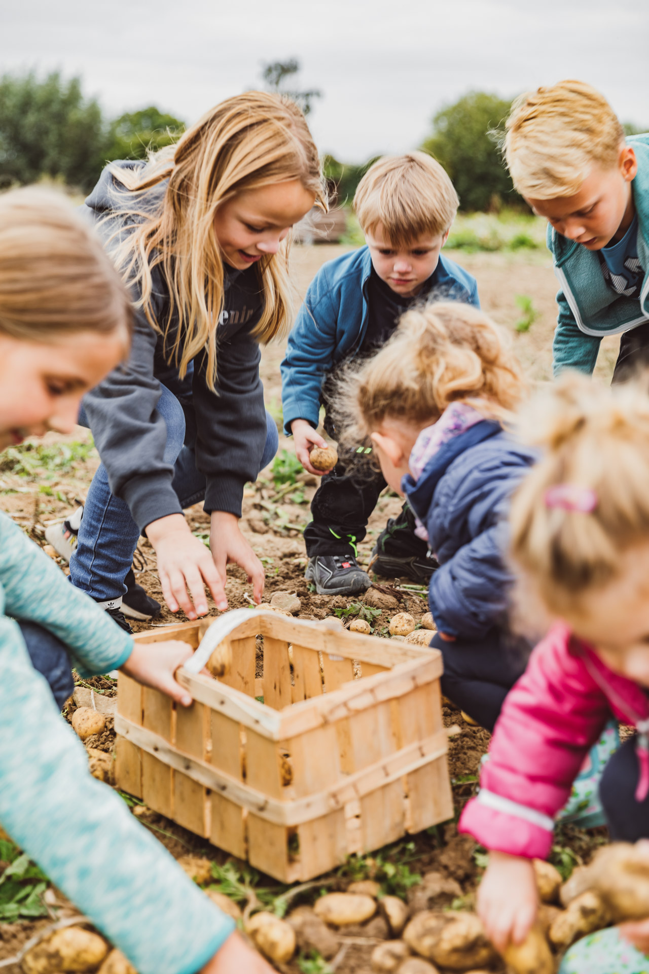 Kinder beim Erntefieber