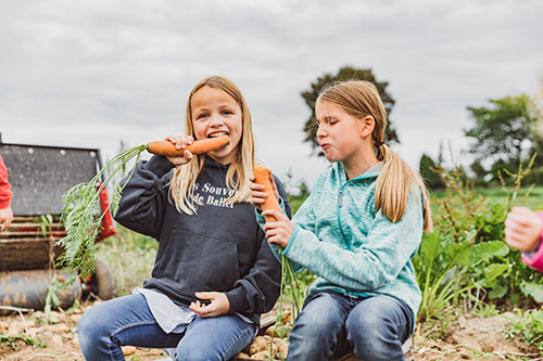 Eggelmann's Erntespaß für Kinder