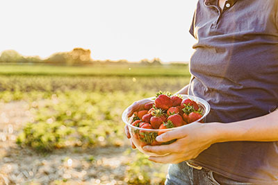Schüssel mit Erdbeeren
