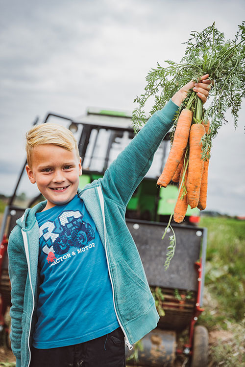 Junge mit einem Bund Möhren