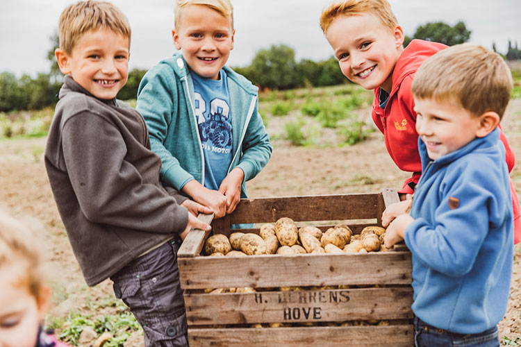 Kinder mit Kartoffelkiste