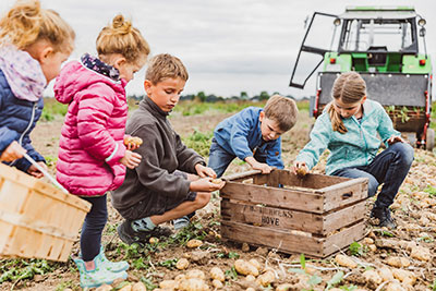 Eggelmann's Erntefieber 2022